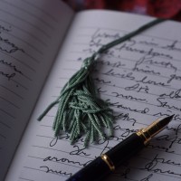 Writing in Journal