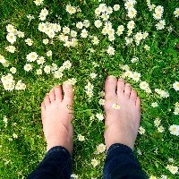Female feet standing on green grass and white flowers