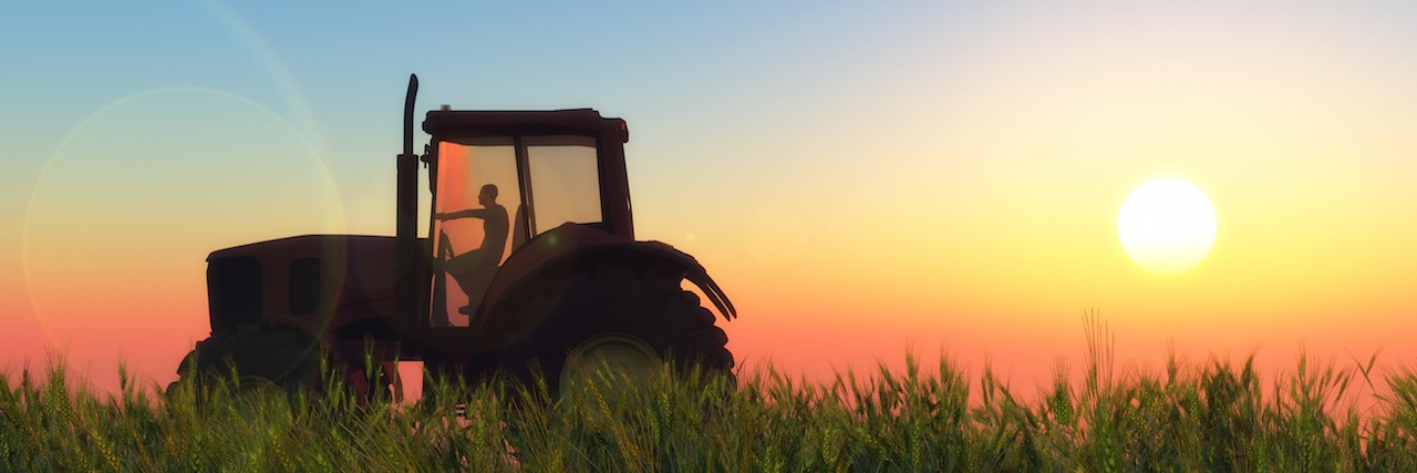 a tractor riding through a wheat field at sunset