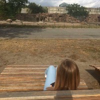 woman looking at elephants