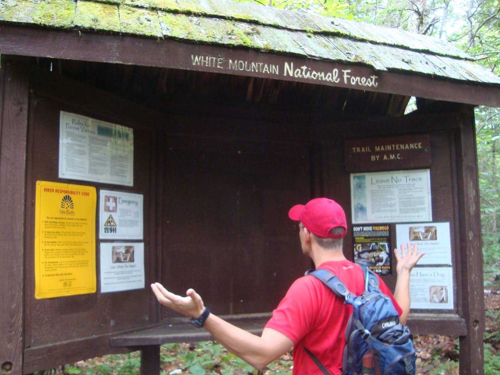 man looking at hiking map