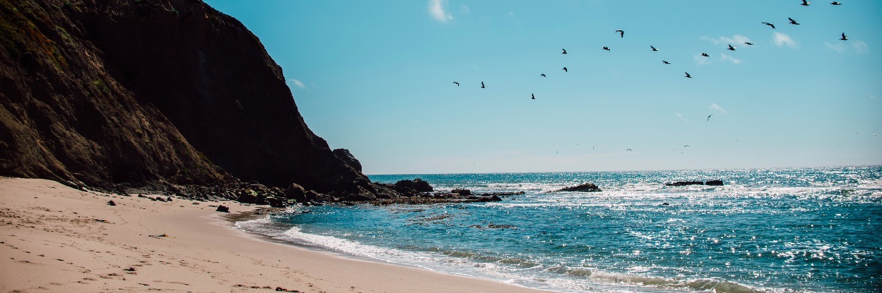 Thank You Letter to My Organ Donor sunny day at beach