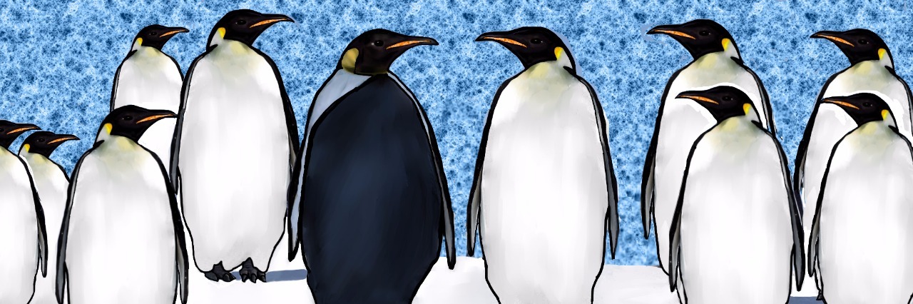 Children's Book That Teaches About Diversity: 'Rare Is Everywhere'