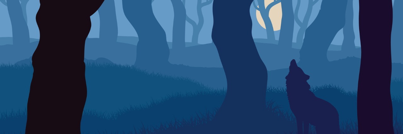 How Chronic Pain Is Like the Boy Who Cried Wolf Vector illustration of wolf howling at moon in night forest.