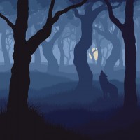 Vector illustration of wolf howling at moon in night forest.