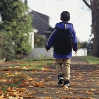 Boy walking along leaf-covered path