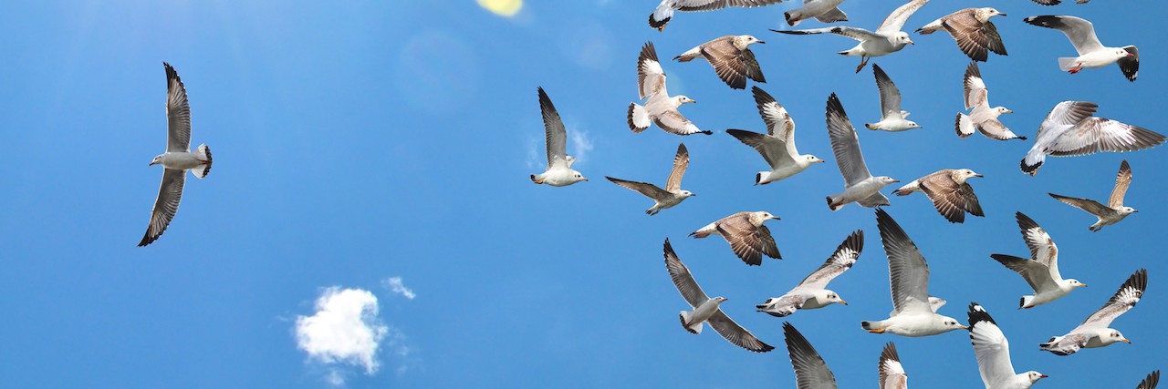 Why I Fight Against Mental Illness Stigma a group of flying seagull birds with one individual bird going in the opposite direction with blue sky background.