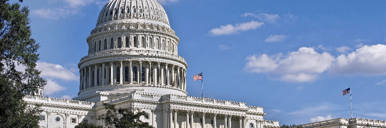 United States Capital building in Washington DC.