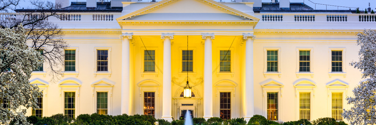 The Fight for Disability Rights After Donald Trump's Election Washington, DC at the White House.