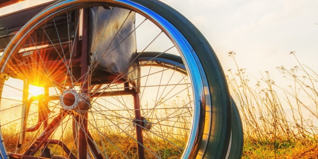 Wheelchair on the meadow at sunset.