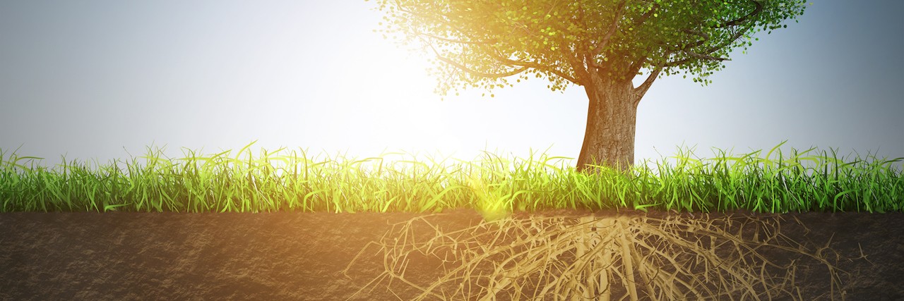 How to Support a Friend in Eating Disorder Recovery A tree with visible roots