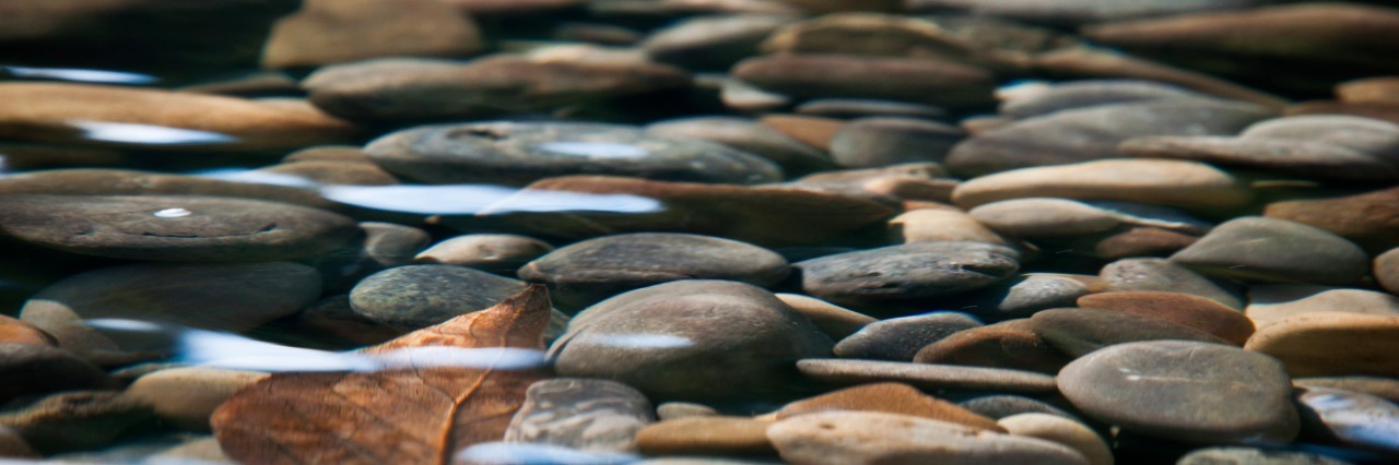 Grounding Techniques for PTSD and Anxiety smooth stones in river bed