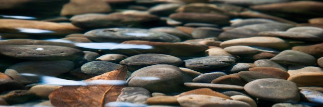smooth stones in river bed