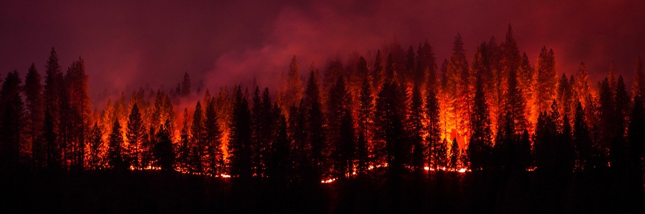 Israel Fires: When You Have an Anxiety Disorder Amidst a Crisis a forest on fire