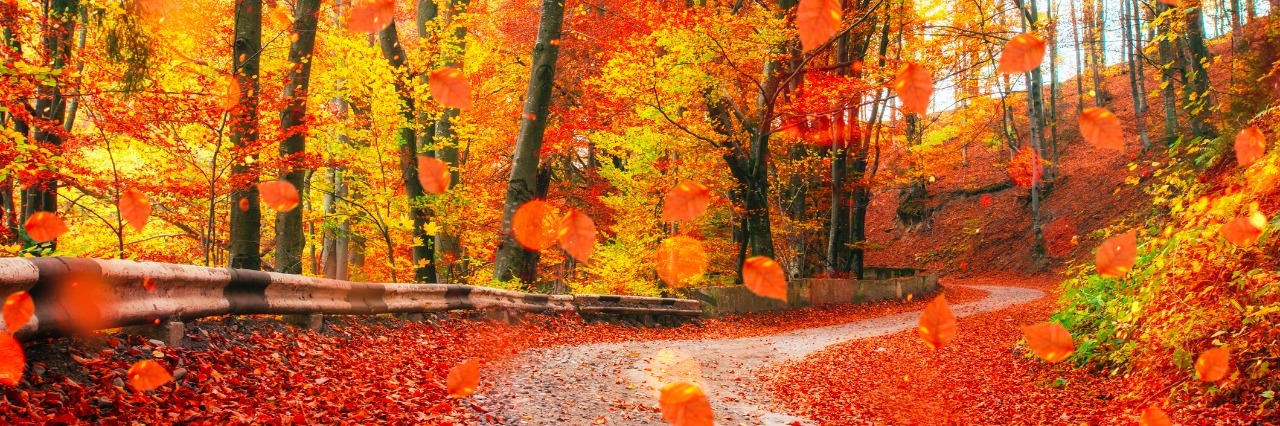 Why I'm Thankful This Thanksgiving Despite Health Problems