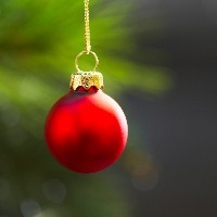 christmas ornament hanging on a tree