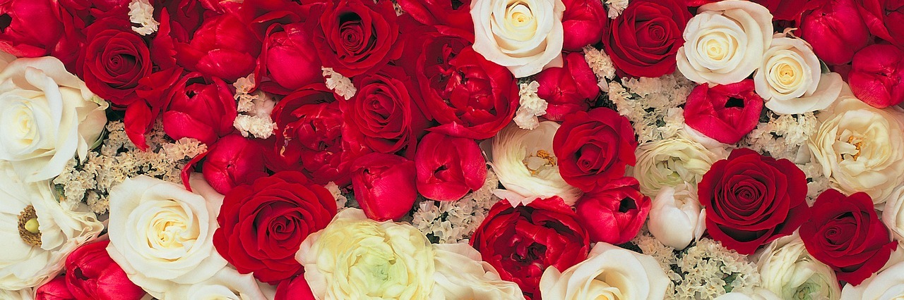 Fighting 'Harm OCD' Thoughts Makes Them Worse a bunch of roses