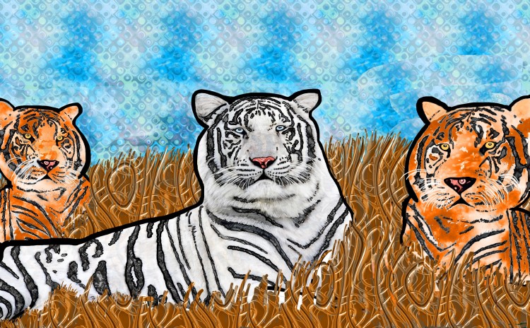 artwork of two orange tigers and one white tiger laying in grass