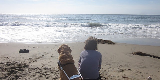 Why I'm Thankful a Store Manager Called Police About My Guide Dog Becky and her guide dog.