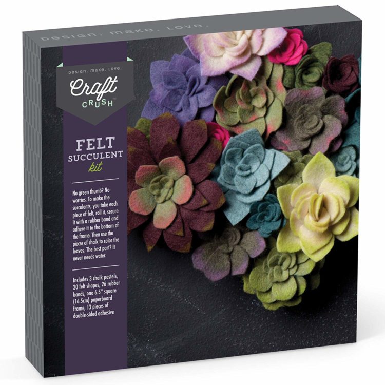 Felt Succulents Craft Kit box with examples of the felt flowers