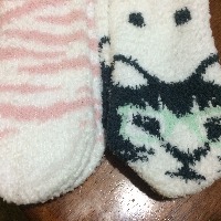 fuzzy socks with pink zebra stripes and cats