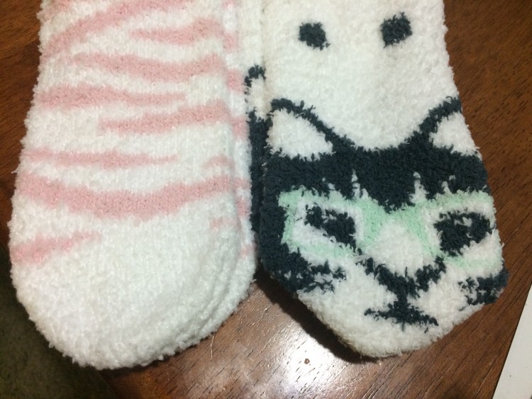 fuzzy socks with pink zebra stripes and cats