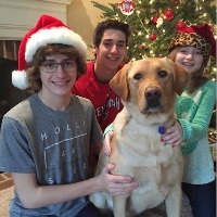 The author's children and family dog posing next to the Christmas tree
