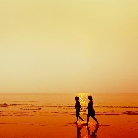 silhouette of couple walking on the beach holding hands