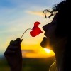 young woman smelling a poppy flower as the sun sets