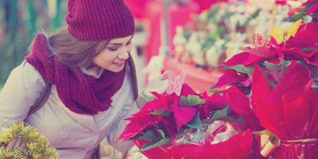 woman in red scarf and hat looking at poinsettias outside at a christmas market