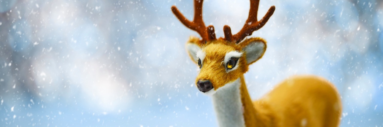 'Rudolph the Red-Nosed Reindeer' and Special Needs Parenting Cute Young Reindeer on a Defocused Winter Landscape Background