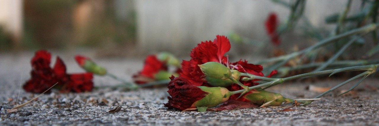 Autism and Prejudice When Dating Roses dropped on the ground.