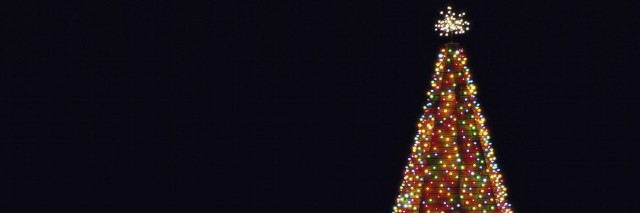 Illuminated Christmas tree at night.