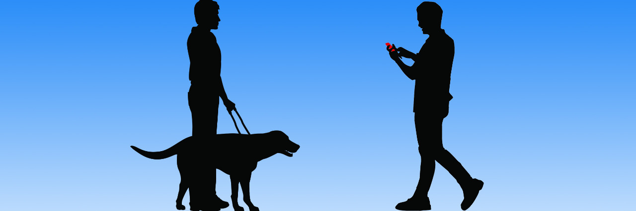 Potentially Hazardous People You Meet as a Guide Dog Owner Person on a cell phone about to walk into a guide dog and handler.