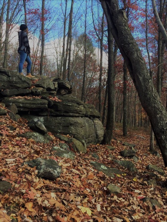 woman standing on log in woods