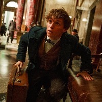 A screenshot from "Fantastic Beasts," a man holding a briefcase crouches and looks up