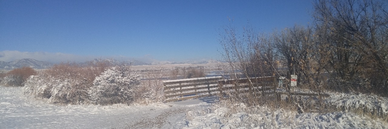 What It's Like to Drive in the Winter When You Have Anxiety winter field