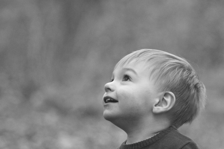 Little boy looking up at the sky in wonder. 