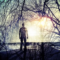 Double exposure abstract conceptual photo collage, man standing on the coast, shining sun and tree branches pattern