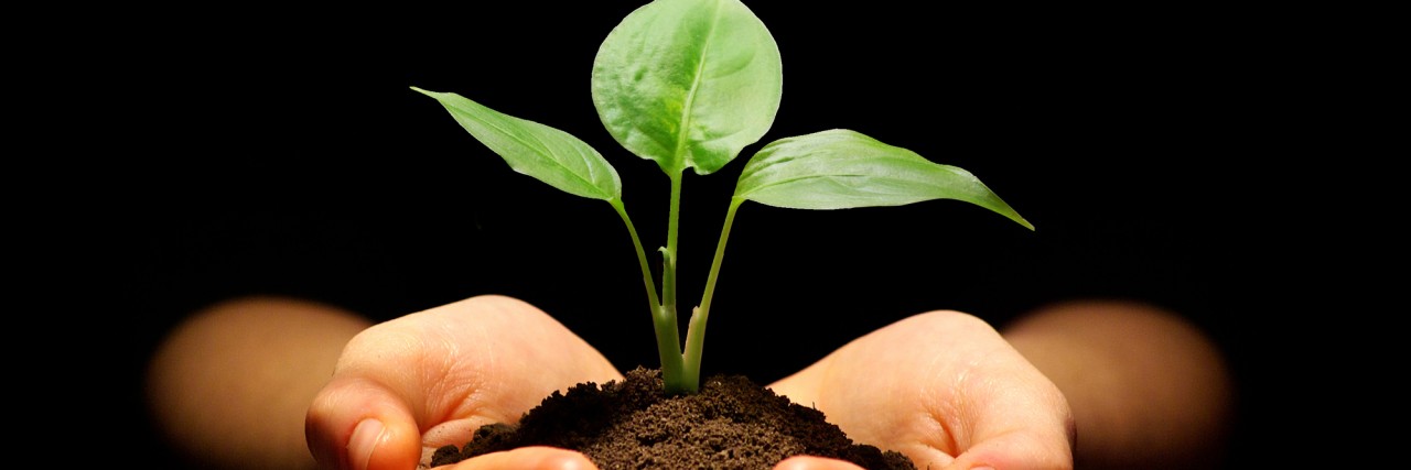 Letter to Children With Epilepsy Hands holding sapling in soil.