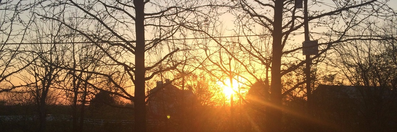 20 Things About Chronic Illness, Ehlers-Danlos I Learned Before Age 20 sunset through trees and branches