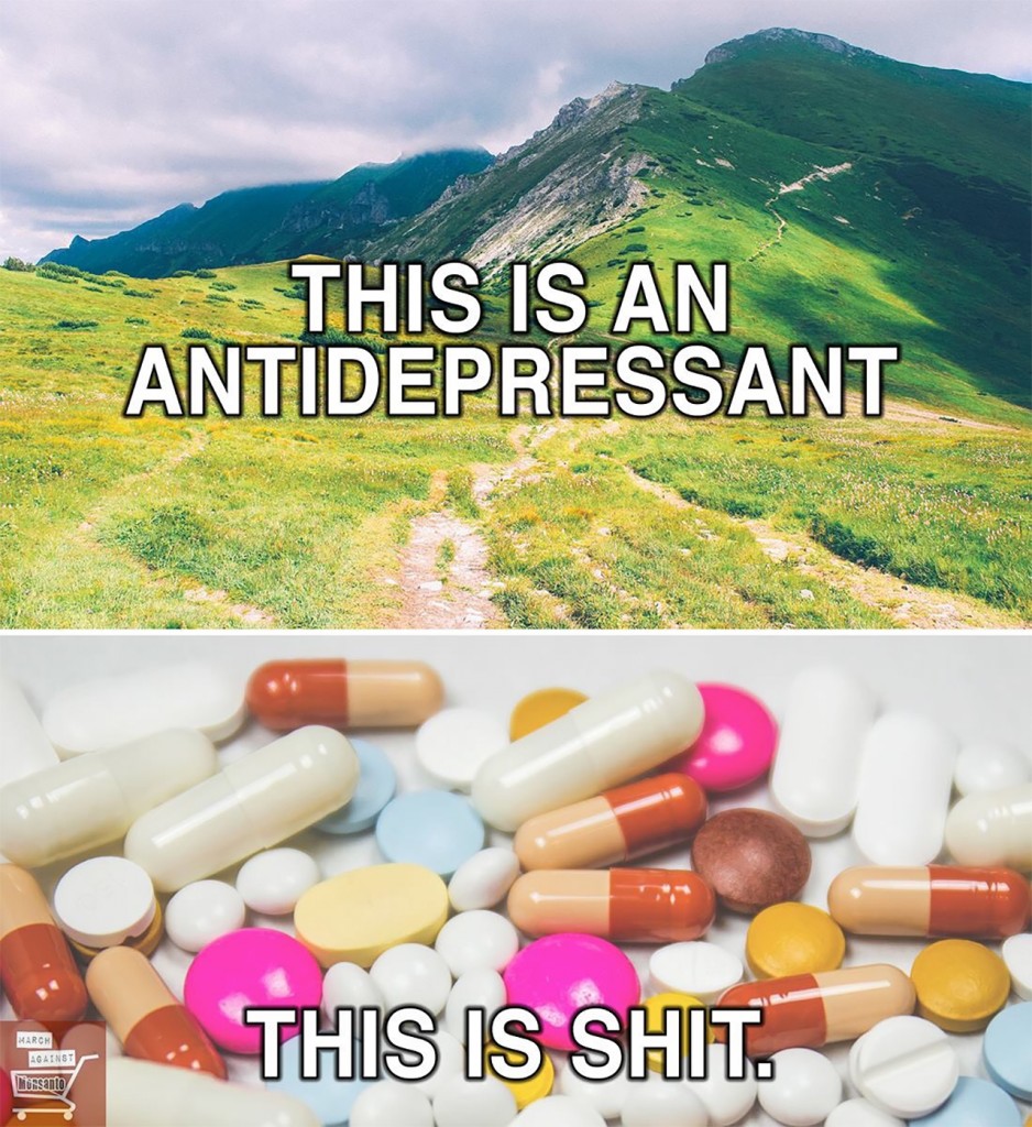 Meme about antidepressants, showing a nature scene with 'this is an antidepressant' and pills saying 'this is shit'