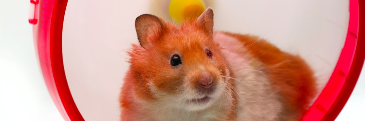 My Husband's Joke About My Chronic Anxiety Is One I'll Never Forget Hamster in a wheel