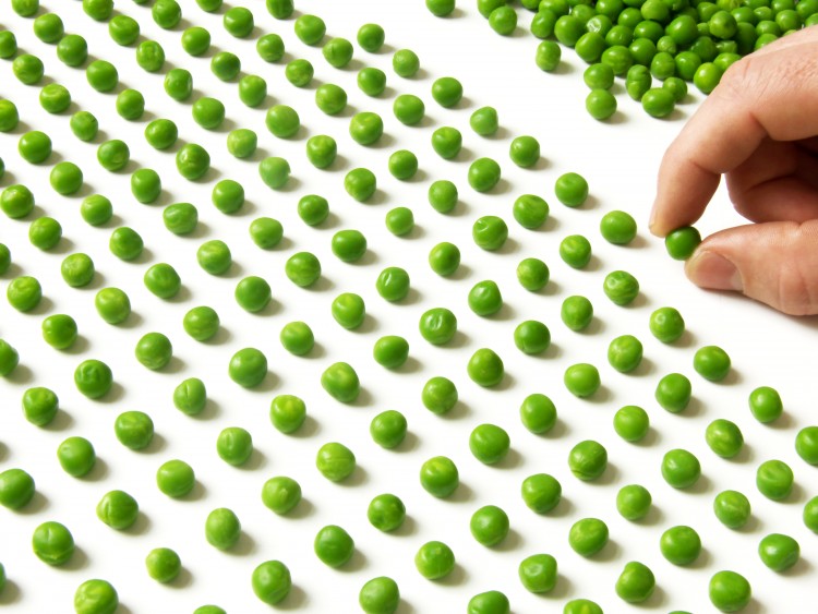 someone counting peas