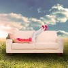 woman laying on a couch in a field