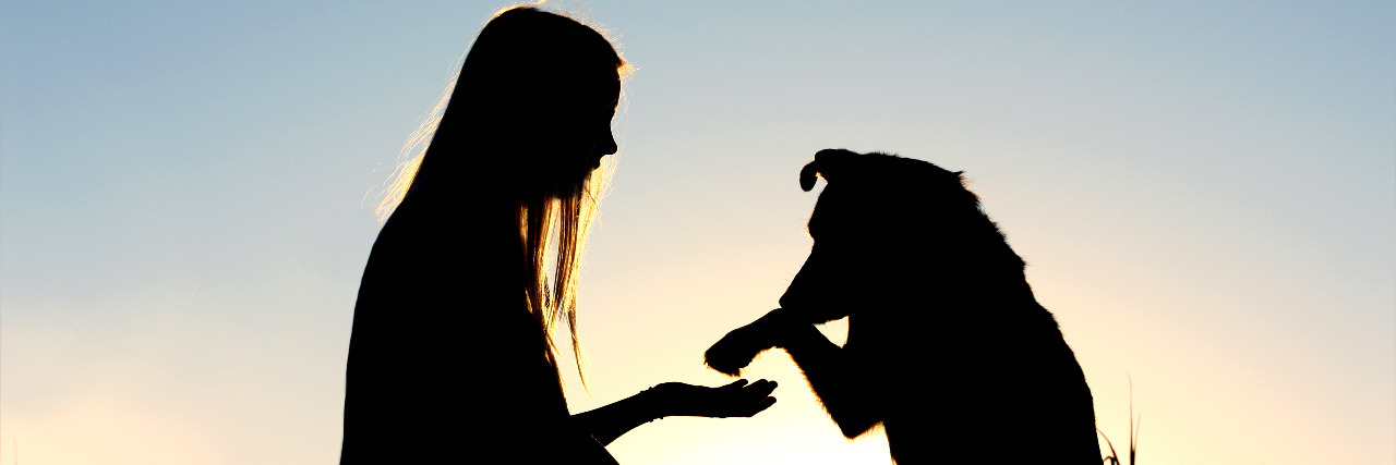 Woman and her dog shaking hands silhouette.
