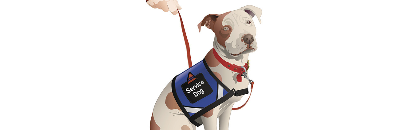 What Service Dog Handlers Want You to Know Service dog.
