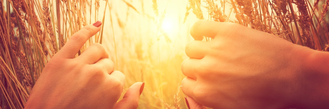 girl using hands to part wheat field