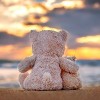 two teddy bears sitting at the beach