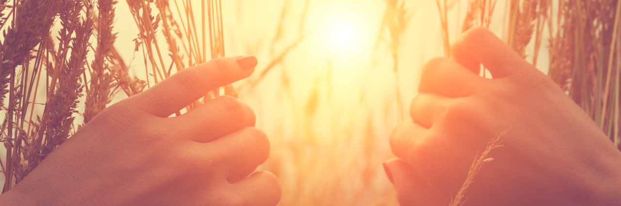 Why It's OK to Say 2016 Was a Horrible Year hands parting tall grass to look at the sunrise